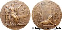 FRANCE Médaille PRO PATRIA - Préparation militaire MINISTÈRES 1911 (49,5mm, 68,97g, 12h) -