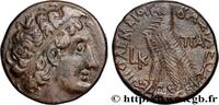 Hellénistique 2 (188 à 30 avant J.C.) Tétradrachme ÉGYPTE - ROYAUME LAGIDE - PTOLÉMÉE XII NEOS DIONYSOS Alexandrie, Égypte 62-61 AC. (24mm, 13,35g, 12h) -