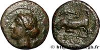 Hellénistique 1 (323 à 188 avant J.C.) Litra SICILE - SYRACUSE Syracuse, Sicile c. 317-310 AC. (15,5mm, 3,21g, 7h) -