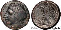 Hellénistique 1 (323 à 188 avant J.C.) Hemilitron SICILE - SYRACUSE Syracuse, Sicile c. 287-278 AC. (22mm, 9,77g, 6h) -