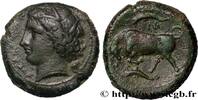 Hellénistique 1 (323 à 188 avant J.C.) Litra SICILE - SYRACUSE Syracuse, Sicile c. 317-310 AC. (22,5mm, 10,70g, 3h) -