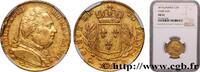 FRANCE 20 francs or Louis XVIII, buste habillé LOUIS XVIII Perpignan 1814 (21mm, 6,45g, 6h) -