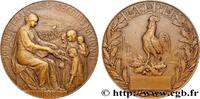 FRANCE Médaille, Journée française, secours national TROISIÈME RÉPUBLIQUE 1915 (49,5mm, 67,73g, 12h) -