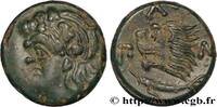 Classique 2 (400 à 350 avant J.C.) Unité CHERSONÈSE TAURIQUE - PANTICAPÉE Panticapée, Chersonèse Taurique c. 310 - 304/303AC. (20mm, 7,28g, 12h) -
