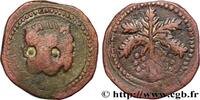 ITALIE - MESSINE - GUILLAUME II Trifollaro ITALIE - MESSINE - GUILLAUME II Messine 1166-1189 (25mm, 10,15g, 12h) -