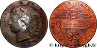 Médaille, Concours général agricole, vaches laitiè 1888 FRANKREICH AGRICULTURE 75 - Paris 1888 (51mm, 56,35g, 12h) SS/fVZ