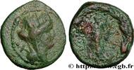 Hellénistique 2 (188 à 30 avant J.C.) Unité PHÉNICIE - TRIPOLIS Phénicie, Tripolis 13-14 (19,5mm, 6,41g, 12h) -