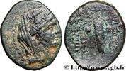 Hellénistique 2 (188 à 30 avant J.C.) Demi unité SYRIE - APAMÉE Apamée, Syrie c. 74-69 AC. (20mm, 4,62g, 6h) -