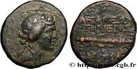 Hellénistique 2 (188 à 30 avant J.C.) Unité SYRIE - APAMÉE Apamée, Syrie 20-19 AC. (23,5mm, 9,69g, 1h) -
