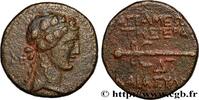 Hellénistique 2 (188 à 30 avant J.C.) Unité SYRIE - APAMÉE Apamée, Syrie 9-8 AC. (20mm, 6,67g, 1h) -