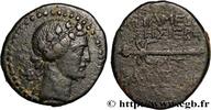Hellénistique 2 (188 à 30 avant J.C.) Unité SYRIE - APAMÉE Apamée, Syrie 9-8 AC. (21,5mm, 6,75g, 1h) -
