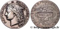 FRANCE Médaille, Société d’instruction professionnelle de ENSEIGNEMENT 1893 (51,5mm, 67,09g, 12h) -