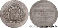 FRANCE Médaille, Groupes scolaires de Colombes ÉDUCATION : LYCÉES, ÉCOLES 92 - Colombe 1905 (50mm, 60,32g, 12h) -