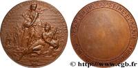 FRANCE Médaille, Don du conseil général TROISIÈME RÉPUBLIQUE n.d. (50mm, 49,85g, 12h) -