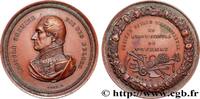 FRANCE Médaille, Société royale d’agriculture et d’hortic SOCIÉTÉS D'AGRICULTURE, HORTICULTURE, PÊCHE ET CHASSE Belgique, Tournay n.d. (45,5mm, 34,79g, 12h) -