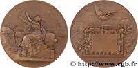 FRANCE Médaille, Communications aériennes GUERRE DE 1870-1871 1871 (62,5mm, 119,03g, 12h) -
