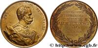 FRANCE Médaille, Exposition International d’hygiène et d’ EXPOSITIONS Italie, Rome 1894 (55mm, 64,54g, 12h) -