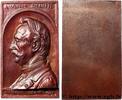 FRANCE Plaquette, Victor Deneffe MÉDECINE - SOCIÉTÉS MÉDICALES - MÉDECINS/CHIRURGIENS - ASSISTANCE PUBLIQUE 1905 (67,5mm, 64,38g, 12h) -