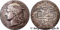 FRANCE Médaille, Reboisement, Forêts AGRICULTURE Algérie, Boufarik 1887 (41,5mm, 37,97g, 12h) -