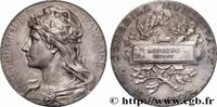 FRANCE Médaille, Conseil municipal CONSEIL GÉNÉRAL, DÉPARTEMENTAL OU MUNICIPAL - CONSEILLERS 92 - Clichy 1929 (50mm, 51,18g, 12h) -