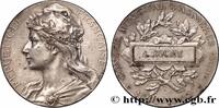 FRANCE Médaille, Conseil municipal CONSEIL GÉNÉRAL, DÉPARTEMENTAL OU MUNICIPAL - CONSEILLERS 92 - Asnières-sur-Seine 1900 (48,7mm, 53,94g, 12h) -