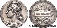 FRANCE Médaille, Conseil municipal CONSEIL GÉNÉRAL, DÉPARTEMENTAL OU MUNICIPAL - CONSEILLERS 92 - Asnières-sur-Seine 1900 (49,5mm, 61,33g, 12h) -