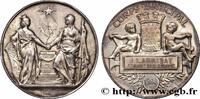 FRANCE Médaille, Corps municipal CONSEIL GÉNÉRAL, DÉPARTEMENTAL OU MUNICIPAL - CONSEILLERS 75 - Paris 1888 (49,5mm, 65,23g, 12h) -