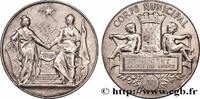 FRANCE Médaille, Corps municipal CONSEIL GÉNÉRAL, DÉPARTEMENTAL OU MUNICIPAL - CONSEILLERS 75 - Paris 1885 (49,5mm, 66,05g, 12h) -