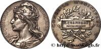 FRANCE Médaille, Conseil municipal CONSEIL GÉNÉRAL, DÉPARTEMENTAL OU MUNICIPAL - CONSEILLERS 77 - Fontainebleau 1896 (49,5mm, 58,48g, 12h) -