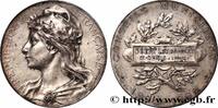 FRANCE Médaille, Conseil municipal CONSEIL GÉNÉRAL, DÉPARTEMENTAL OU MUNICIPAL - CONSEILLERS 93 - Saint-Denis 1896 (49,5mm, 60,61g, 12h) -
