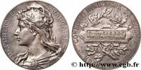 FRANCE Médaille, Conseil municipal de France CONSEIL GÉNÉRAL, DÉPARTEMENTAL OU MUNICIPAL - CONSEILLERS 77 - Guignes-Rabutin 1884 (49,5mm, 66,67g, 12h) -