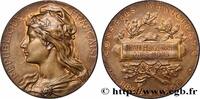 FRANCE Médaille, Conseil municipal CONSEIL GÉNÉRAL, DÉPARTEMENTAL OU MUNICIPAL - CONSEILLERS 43 - Ours-Mons 1900 (49,5mm, 61,07g, 12h) -