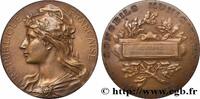 FRANCE Médaille, Conseil municipal CONSEIL GÉNÉRAL, DÉPARTEMENTAL OU MUNICIPAL - CONSEILLERS 92 - Bois-Colombes 1935 (49,5mm, 56,89g, 12h) -