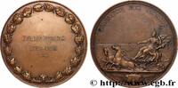 FRANCE M&eacute;daille, Centenaire du Bureau Veritas 1928 ENTREPRISES, INDUSTRI... 55,00 EUR  + 9,00 EUR frais d'envoi