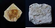 Carreau De Pavement Renaissance En Terre Cuite Avec Armoiries -
