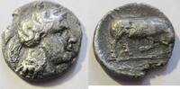 Griechenland Stater 435-400 v. Chr. Stater von Thourioi in Lukanien Rs. ... 79,00 EUR  + 6,00 EUR frais d'envoi