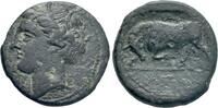 Greek - Sicily AE - Syracuse, Hieron II (275-215 BC) - -