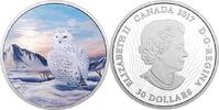 Canada 30$ Canada 2018 $30 Arctic Animals and Northern Lights Snowy Owl Pure Silver Coin -