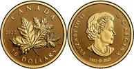 Canada 10$ Canada 2023 10$ Everlasting Maple Leaf 1/20 oz Pure Gold Coin -