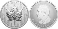 Canada 20$ 2024 MAPLE LEAF Forest SML Ultra High Relief 1 oz Silver Coin  134,99 EUR envoi gratuit