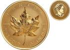 Canada 200$ MAPLE LEAF 1 oz High Relief Pure Gold Coin -