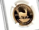 South Africa Treasures of Africa KRUGERRAND 1 oz Gold Coin NGC PF70 -