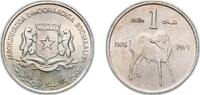 Somalia 1 Shilling Somalia Democratic Republic 1976 1 Shilling (FAO) Copper-nickel (75% Copper, 25% Nickel) Royal Mint, Llantrisant (20040000) 6.24 -
