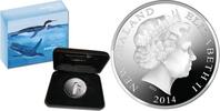 New Zealand $5 2014 Kairuku FB