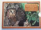 New Zealand Set 1999 Pièce de monnaie indigène Morepork Owl. Le prix a é... 82,00 EUR69,00 EUR  + 17,00 EUR frais d'envoi