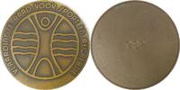 Netherlands / Vlaardingen Historical medal Conseil pour le Sport et les Loisirs -