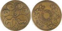 Netherlands Historical medal Association Sportive Canine de Maastricht -