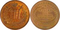 Netherlands Historical medal Inauguration du Roi Willem III à Amsterdam / J. P. Schouberg -
