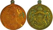 Netherlands Historical medal Intronisation de la Reine Wilhelmina / C.J Begeer -