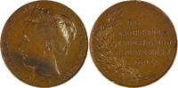 Netherlands Historical medal Inauguration Reine Wilhelmina - H. Baars / Menger -